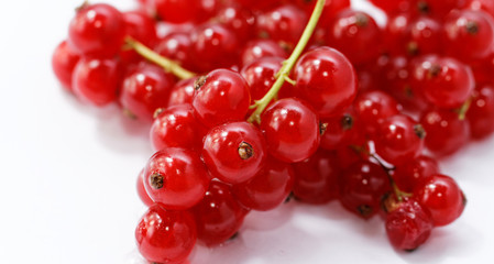 Red currant