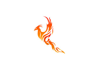 Logo fire business Phoenix  Symbol Energy Power  Icon bird