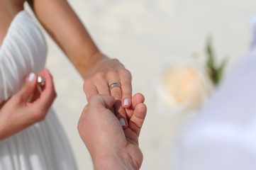 Wedding rings celebration