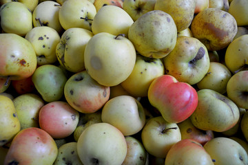 Manzanas rojas y amarillas