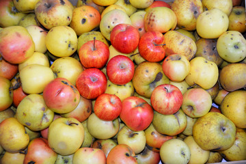 Manzanas rojas y amarillas