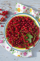 Red currant