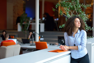 Successful business woman working at the office