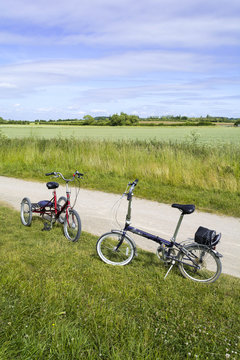 cyclists
