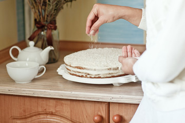 series of winter xmas coconut cake. 