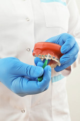 braces model with brush