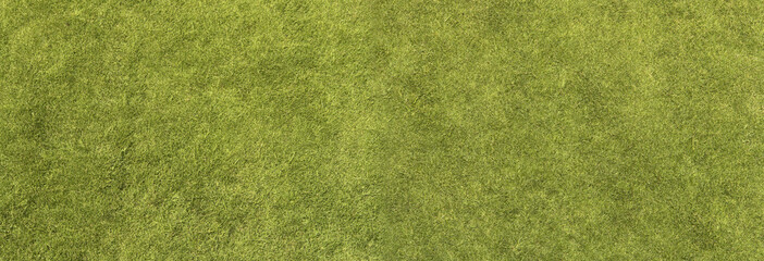 Grass Texture - 72367505