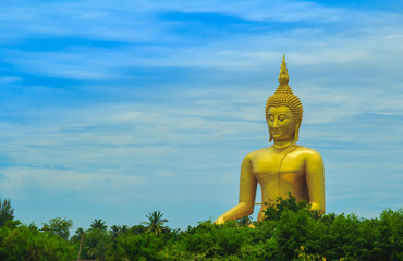 Wat Muang , Buddha