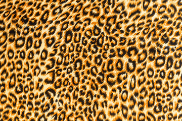 texture of close up print fabric striped leopard - obrazy, fototapety, plakaty