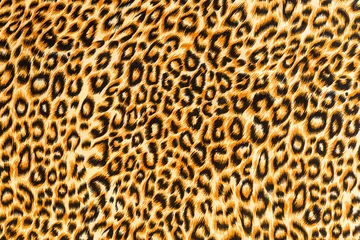 Deurstickers texture of close up print fabric striped leopard © photos777