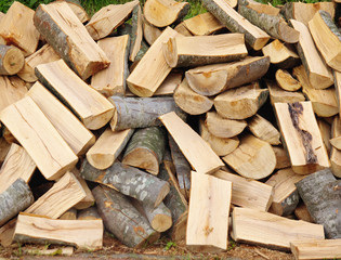 Naklejka premium Firewood, scattered pile of beech