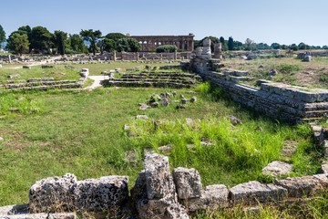 Fototapeta na wymiar Ruins of ancient greek city Paestum
