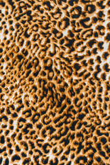 texture of leopard print fabric striped