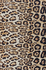 The texture of leopard print fabric striped