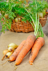 Carrots