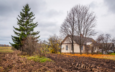 Autumn landscape with tree and house