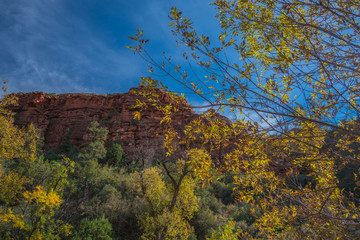 The Mind Expanding World of Sedona