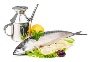 mackerel isolated