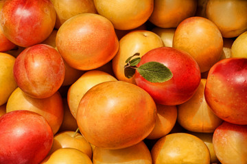 Plums macro