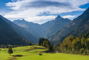 Obraz premium Grüne Wiese im Allgäu mit Gipfel von einem Berg