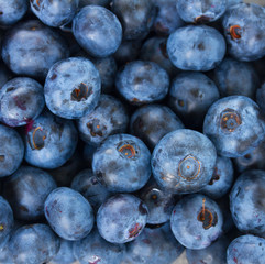 blueberry background