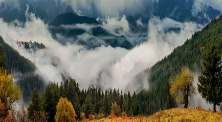 Autumn fog in the mountains