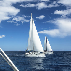 Obraz premium Sailboats participate in sailing regatta.