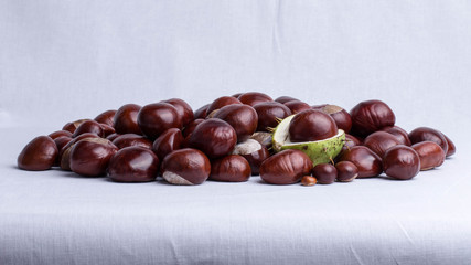 chestnut001