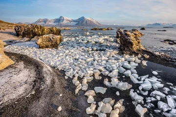 Gordijnen Arctic landscape - sunny morning © Incredible Arctic