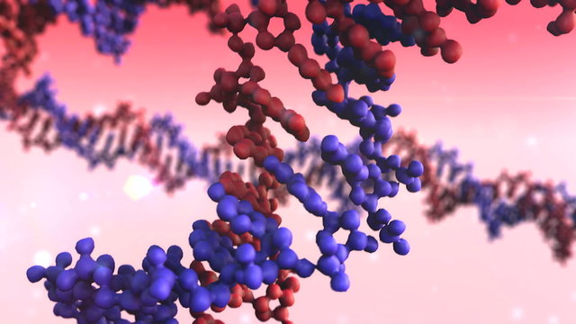 DNA