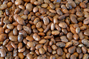 Detail of haricot beans