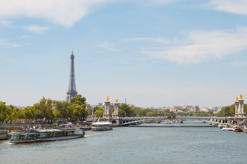 Fototapeta na wymiar Seine River and Eiffel Tower