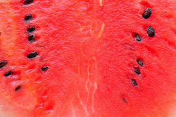watermelon fruit texture background