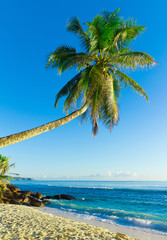 Naklejka premium Plaża Scene Coast