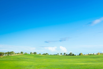 Heavenly Green Fields