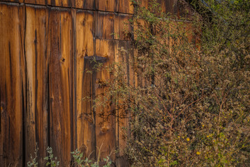 The Mind Expanding World of Sedona