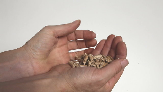 pr&eacute;sentation granul&eacute;s de bois sur fond blanc kazy