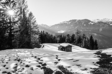 Berghütte auf der Waldlichtung in schwarz weiß