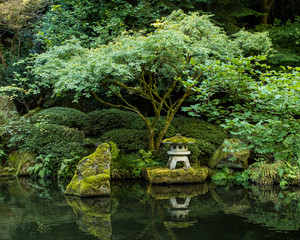 A Lantern in the Portland Japanese Garden
