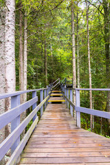 scenic and beautiful tourism trail in the woods near river