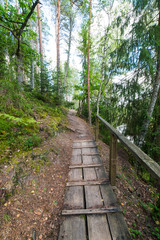 Fototapeta na wymiar scenic and beautiful tourism trail in the woods near river