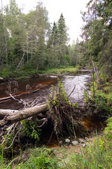Naklejka premium view to the Mountain river with Flowing Water Stream and sandsto