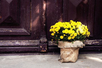 Fototapeta premium Flowers in basket on wooden door background