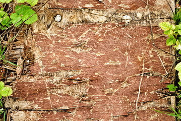 Background texture of old cracked wooden board