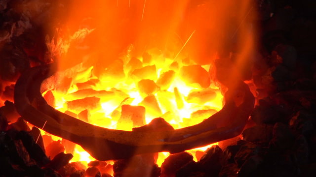 blacksmith heats a horseshoe in the fire