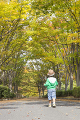 Fototapeta premium 並木道を歩く子供