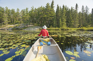 Canoer Relaxing in the Lily Pads