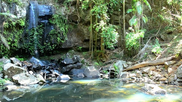 Curtis Falls Mount Tamborine Gold Coast Queensland Australia 02