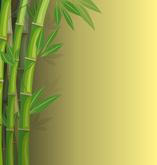Fototapeta na wymiar Green bamboo on yellow background
