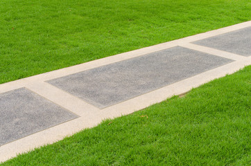 pathway with green grass in park